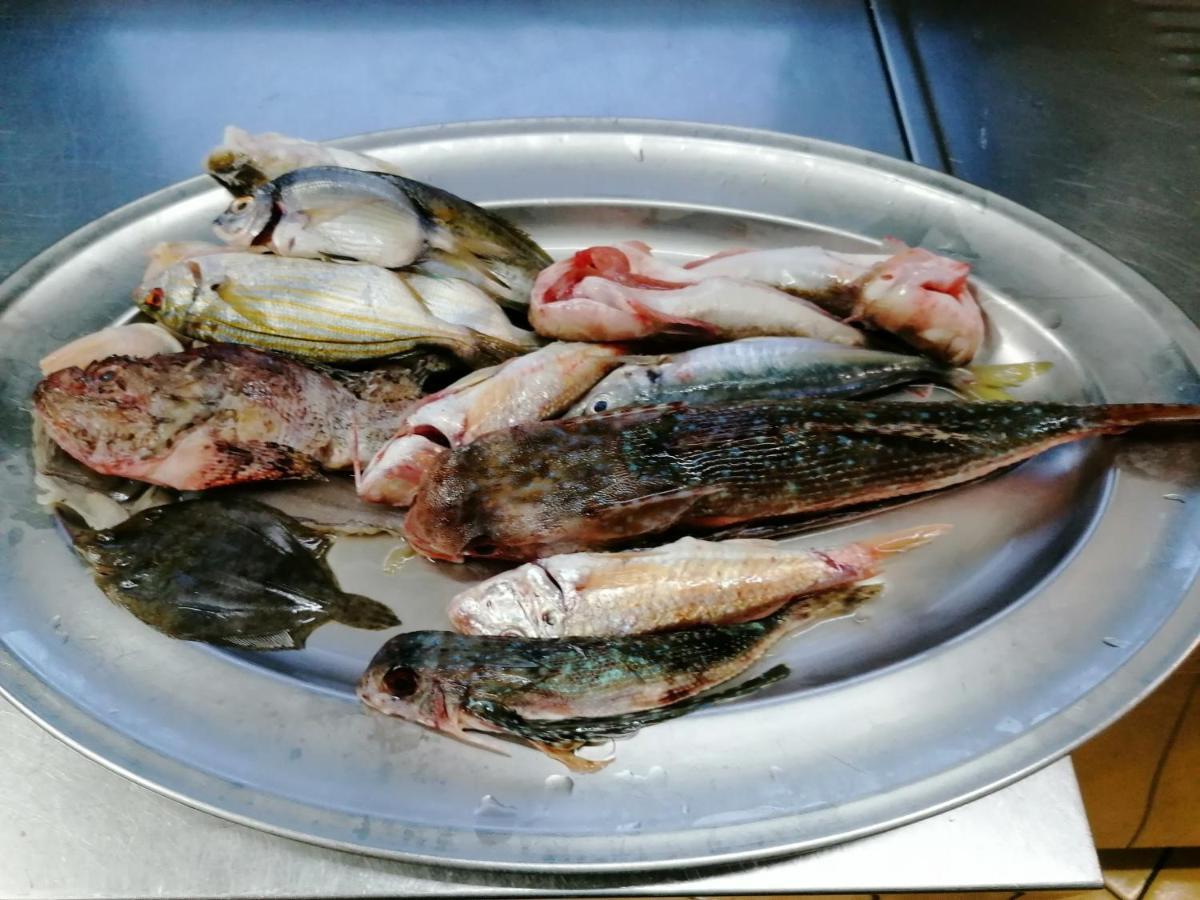 Hotel Posidonia Sapri Luaran gambar